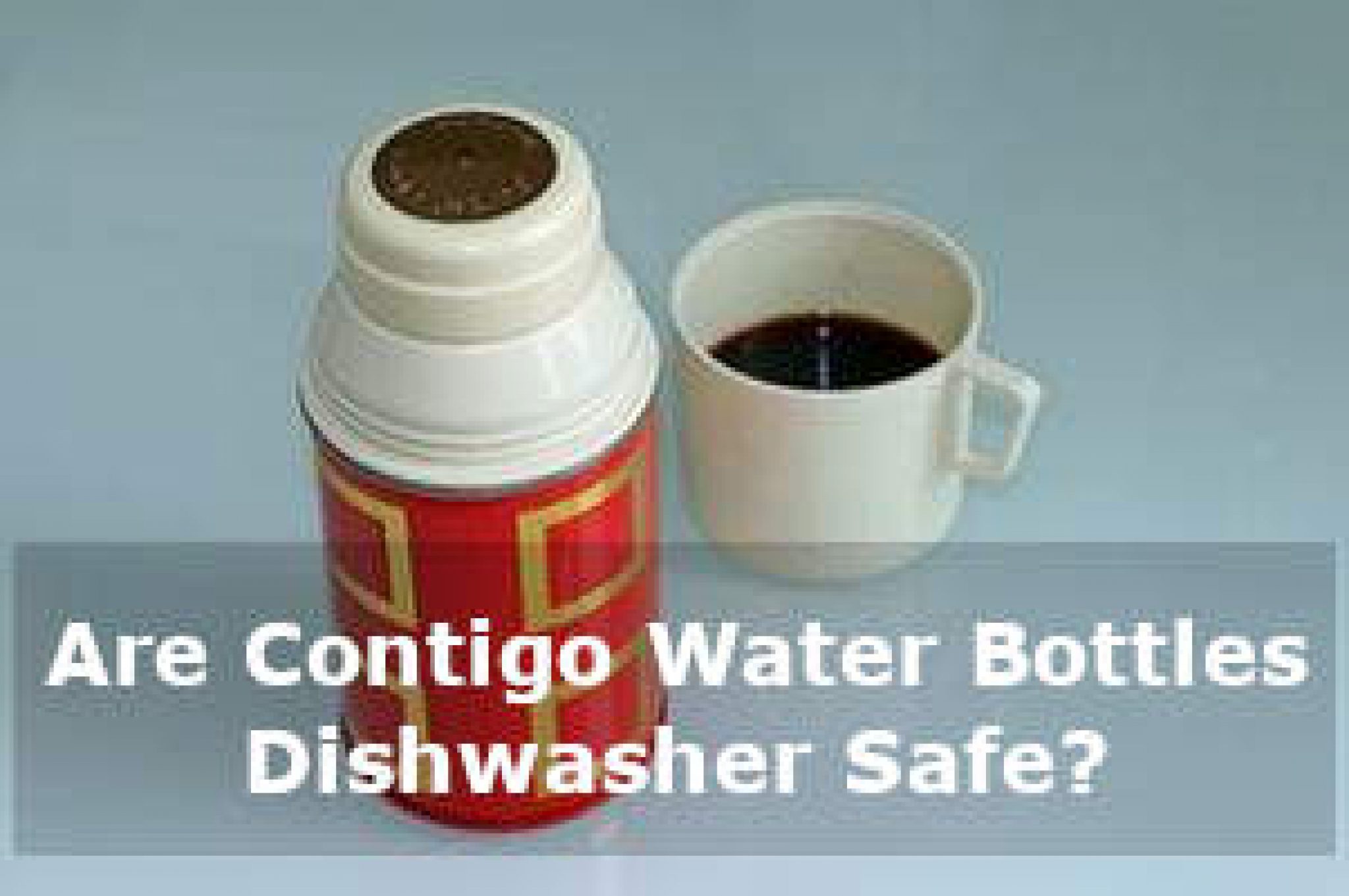 Are Contigo Water Bottles Dishwasher Safe? Best Vacuum Flask