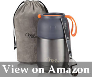 functional sturdy thermos