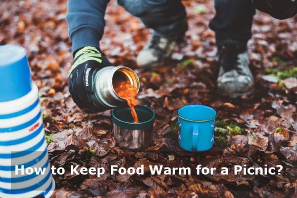 How to Keep Food Warm for a Picnic or Party? BestVacuumFlask