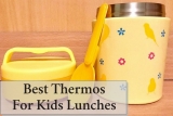 Best Thermos For Kids Lunches: Practical Tips On Choosing