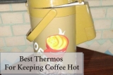 Best Thermos for Keeping Coffee Hot, Vacuum Insulated, Leak-Proof